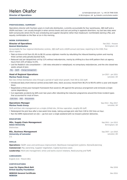 Business Professional CV template preview — a corporate résumé layout