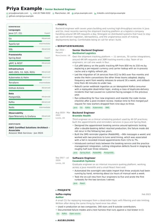 Vorschau der Lebenslauf-Vorlage Developer — ein technology-Layout