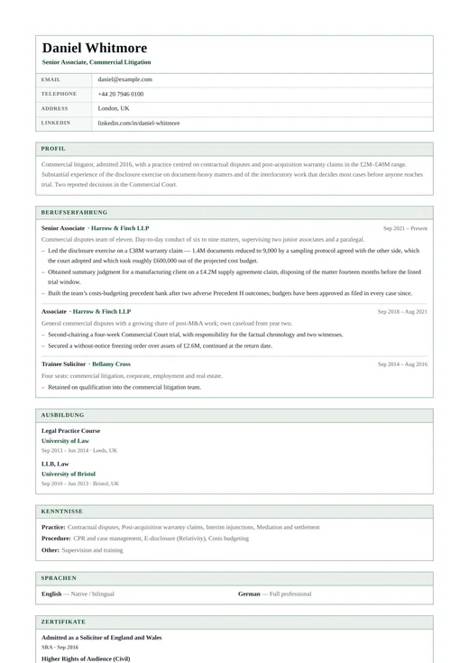 Vorschau der Lebenslauf-Vorlage Government CV — ein classic-Layout