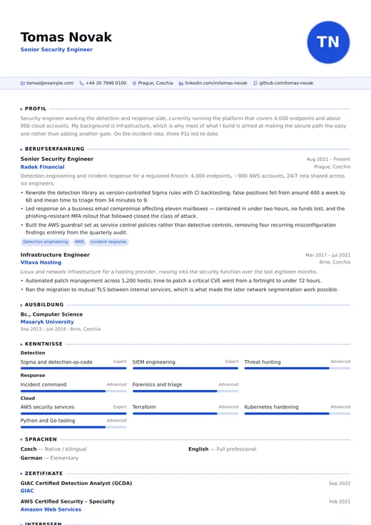 Vorschau der Lebenslauf-Vorlage IT Professional — ein technology-Layout