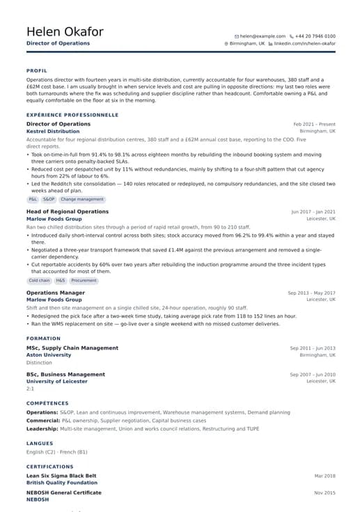 Aperçu du modèle de CV Business Professional — une mise en page corporate