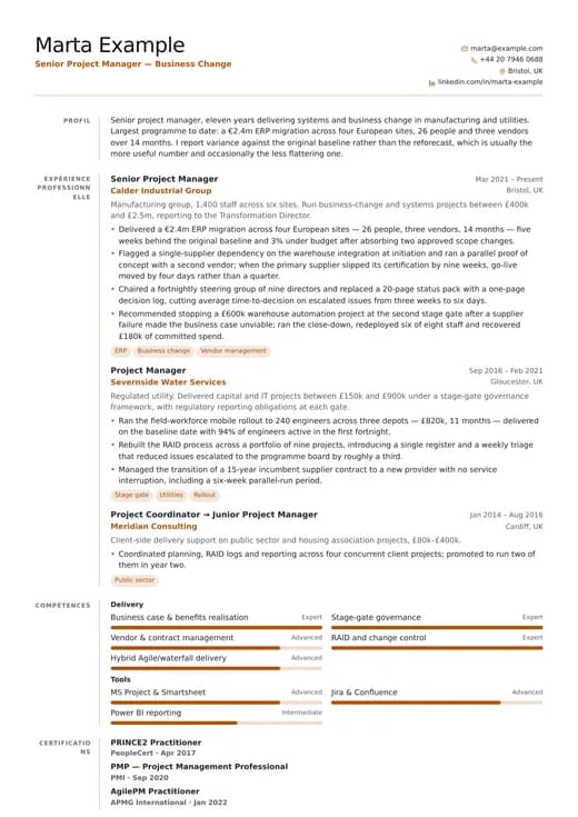 Aperçu du modèle de CV Consultant CV — une mise en page corporate