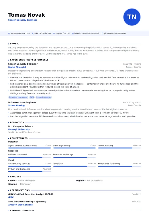 Aperçu du modèle de CV IT Professional — une mise en page technology
