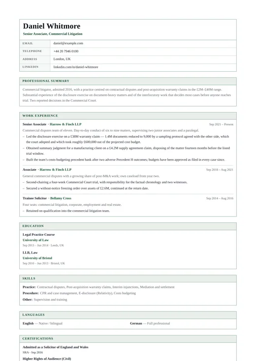 Government CV CV template preview — a classic résumé layout
