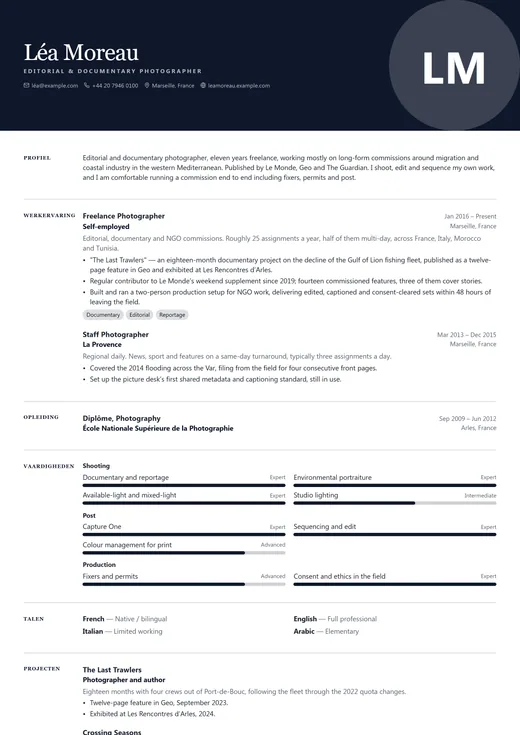 Voorbeeld van cv-sjabloon Art Director — een creative cv-opmaak