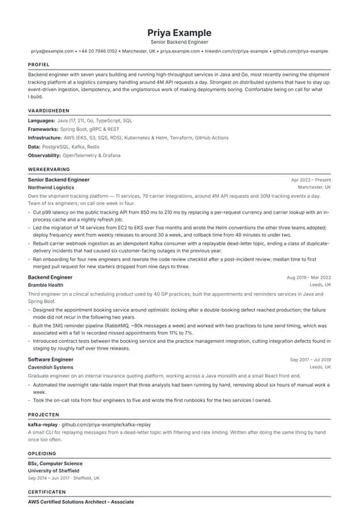 Voorbeeld van cv-sjabloon ATS Resume — een ats cv-opmaak