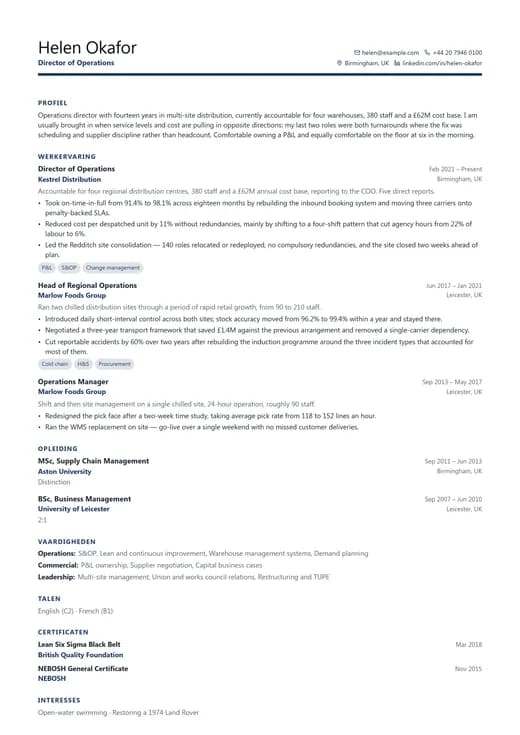 Voorbeeld van cv-sjabloon Business Professional — een corporate cv-opmaak