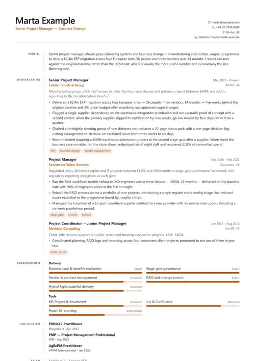 Voorbeeld van cv-sjabloon Consultant CV — een corporate cv-opmaak