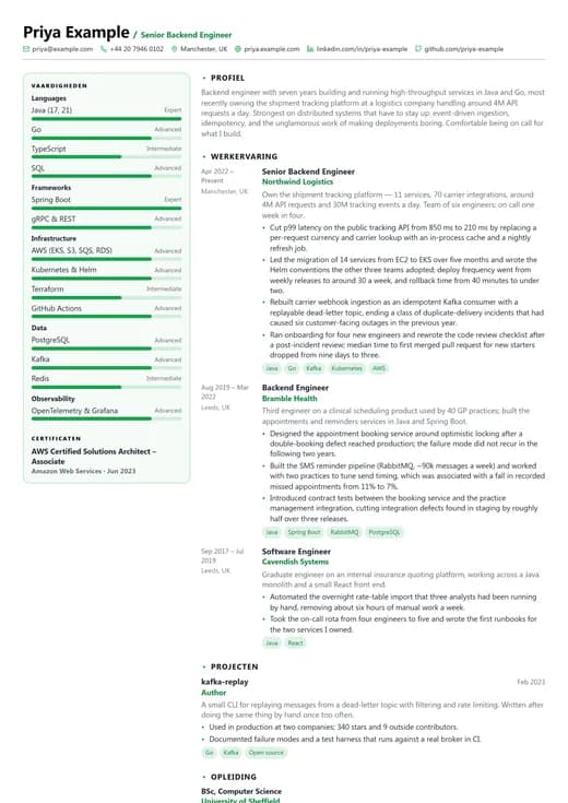 Voorbeeld van cv-sjabloon Developer — een technology cv-opmaak