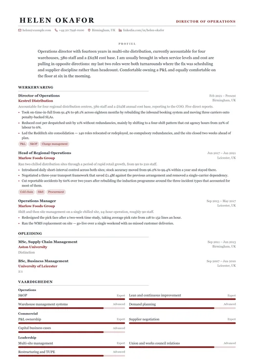 Voorbeeld van cv-sjabloon Executive Classic — een classic cv-opmaak