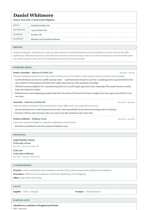 Voorbeeld van cv-sjabloon Government CV — een classic cv-opmaak