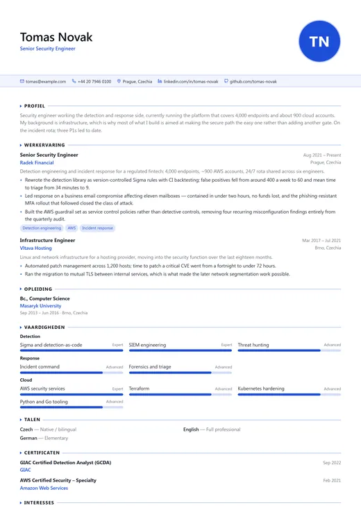 Voorbeeld van cv-sjabloon IT Professional — een technology cv-opmaak