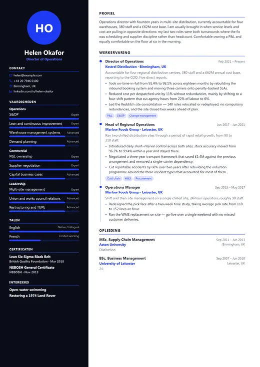 Voorbeeld van cv-sjabloon Modern Executive — een modern cv-opmaak