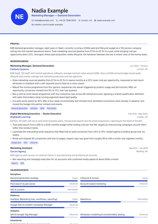 Voorbeeld van cv-sjabloon Modern Professional — een modern cv-opmaak