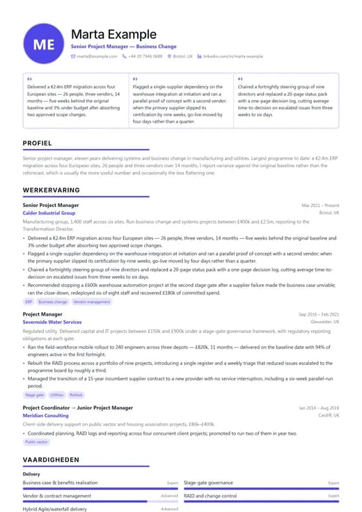 Voorbeeld van cv-sjabloon Product Manager — een technology cv-opmaak