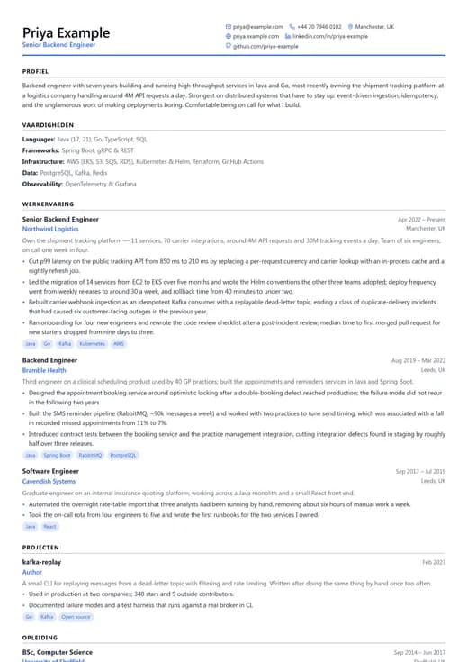 Voorbeeld van cv-sjabloon Software Engineer — een technology cv-opmaak